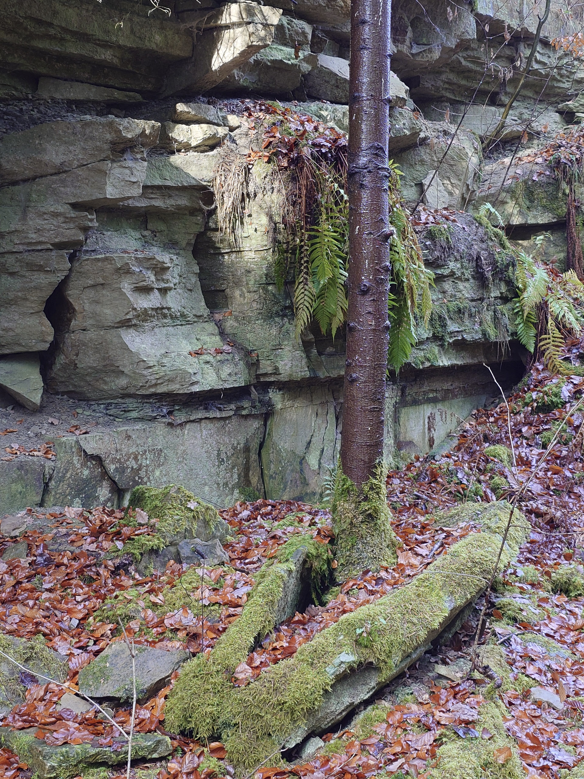 20251129122503 20251129 122503502